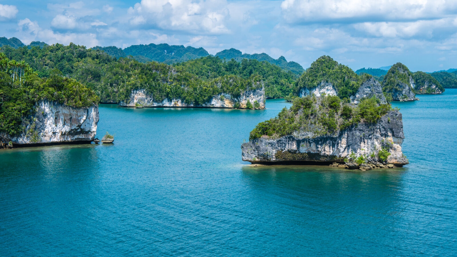 Tropical karst islands and turquoise water in Raja Ampat, a highlight of luxury Indonesia tours.