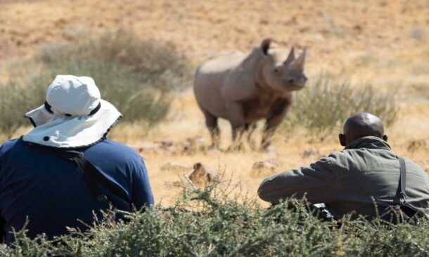 Go on rhino tracking adventures