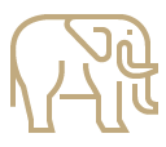 Authentic experiences illustration image