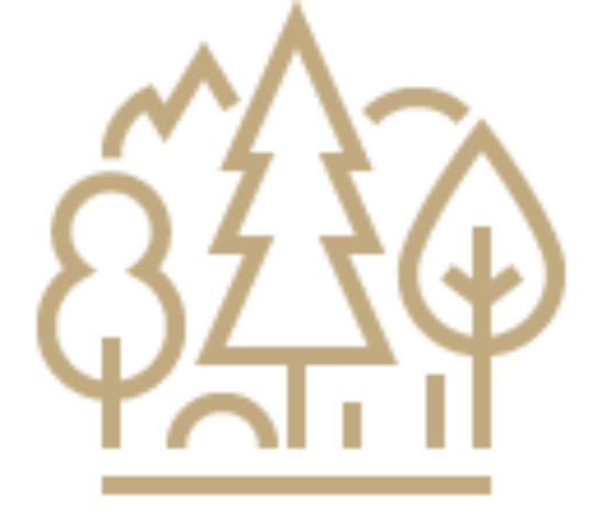 Positive Impact illustration image