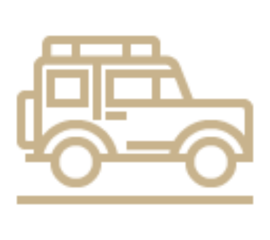 Authentic experiences illustration image