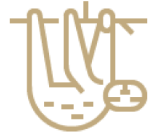 Authentic experiences illustration image