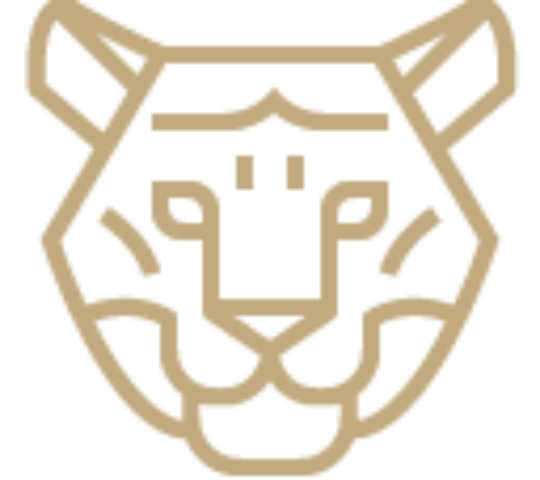 Authentic experiences illustration image