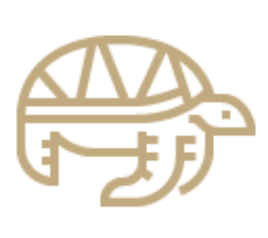 Authentic experiences illustration image