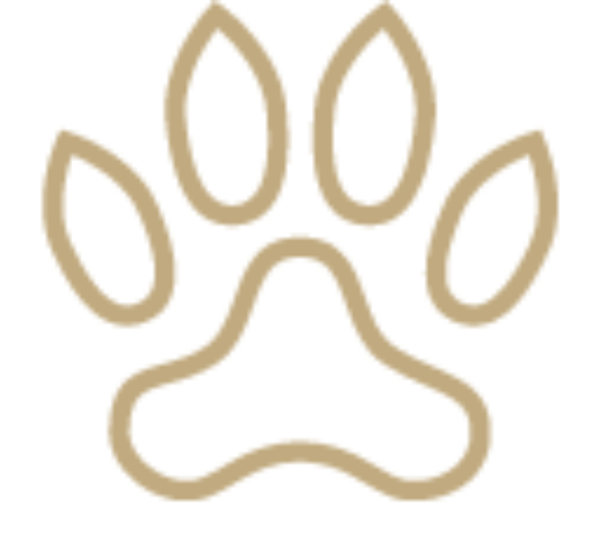 Positive impact illustration image