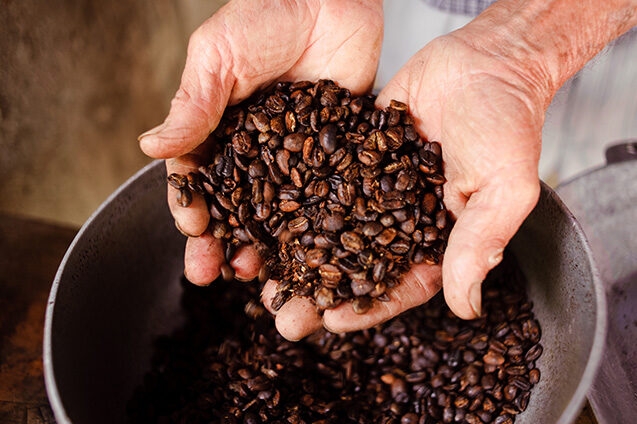 Close-up of hands cupping a large handful of freshly roasted brown coffee beans over a metal bowl, showcasing a product of Luxury Colombia Tours.