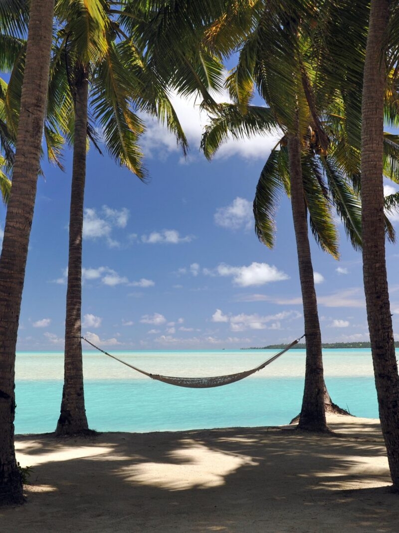 Hammock between palm trees on a beach facing a turquoise lagoon during luxury South Pacific trips.
