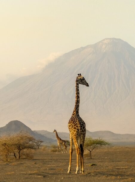 When is the Best Time to Visit Tanzania?