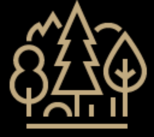 Personalised design illustration image