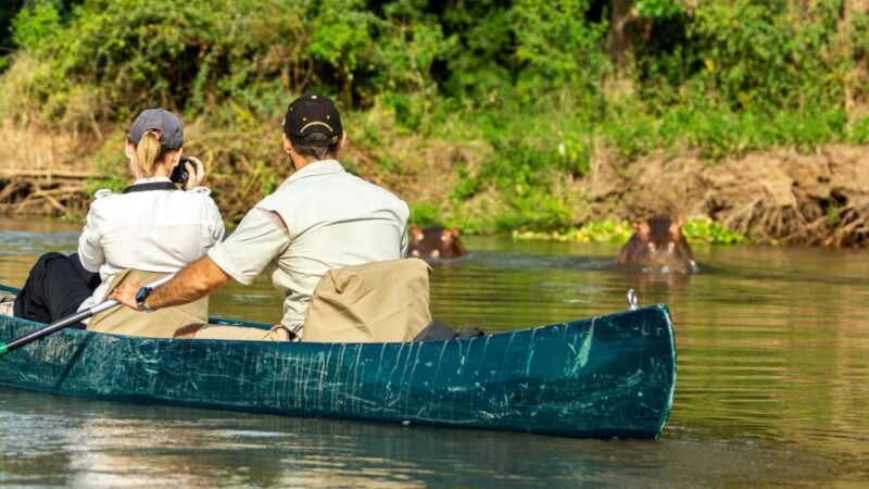 Watching hippos and canoes on the Zambezi River
