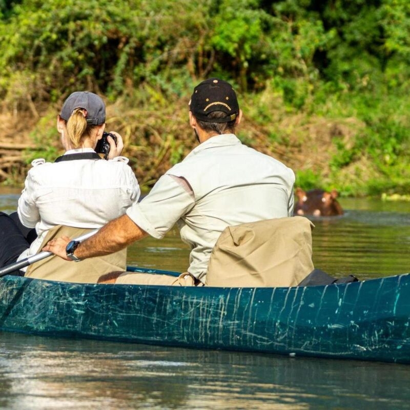 Watching hippos and canoes on the Zambezi River