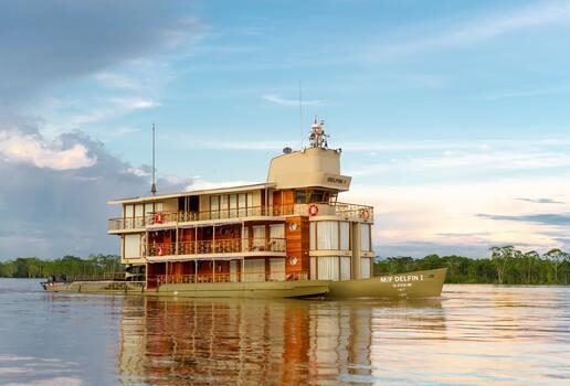 Enjoy an Amazon River cruise on the Delfin I, relaxing in your spacious suite on board and looking out for wildlife on jungle walks.