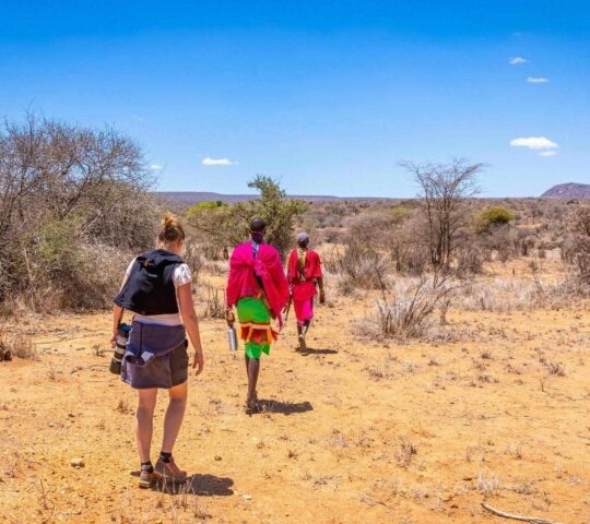 Two Maasai guides lead a woman through a dry, open African savanna on a walking safari.