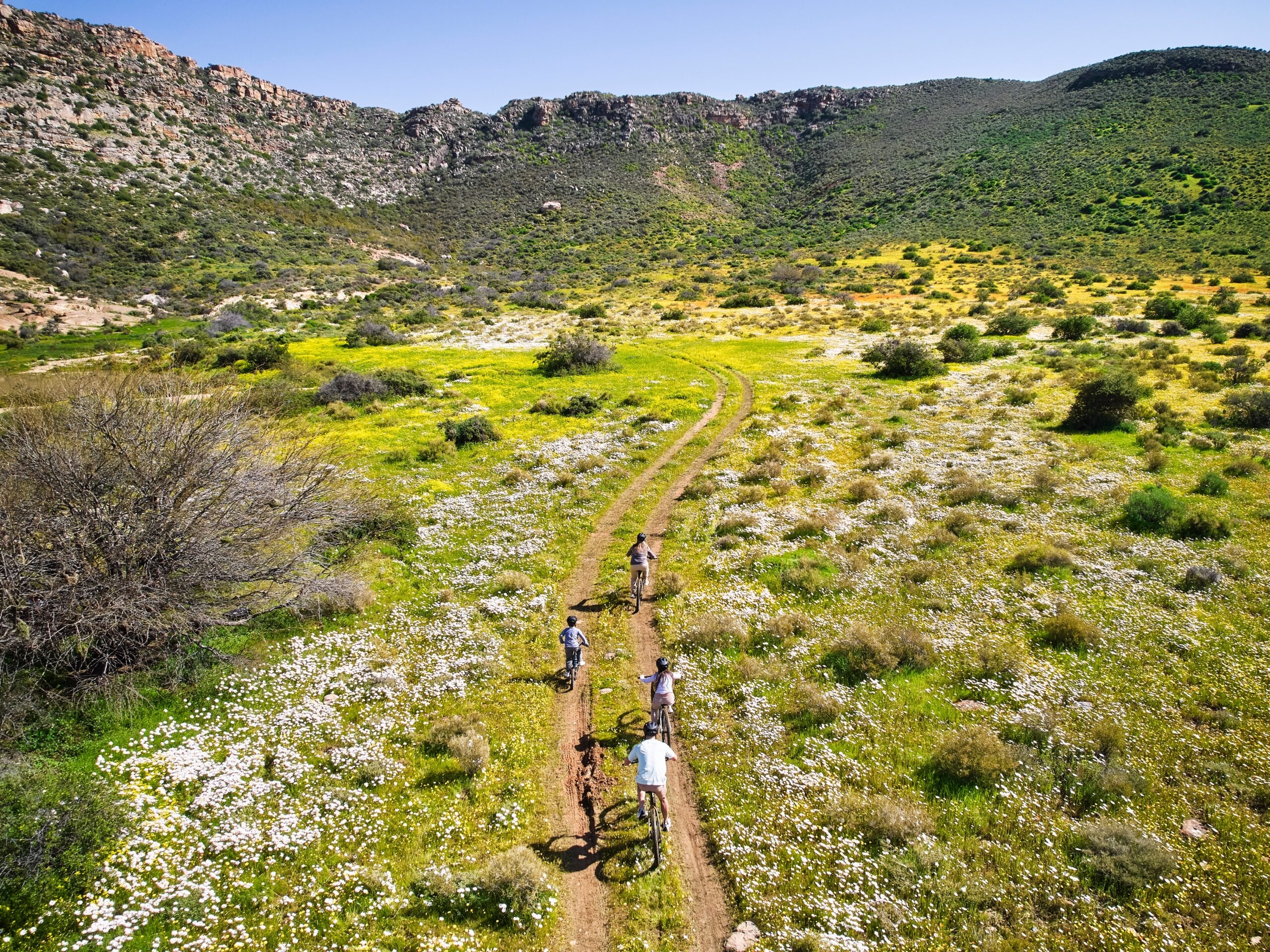 Cyclists on a dirt path through a blooming wildflower meadow with hills in the backdrop.