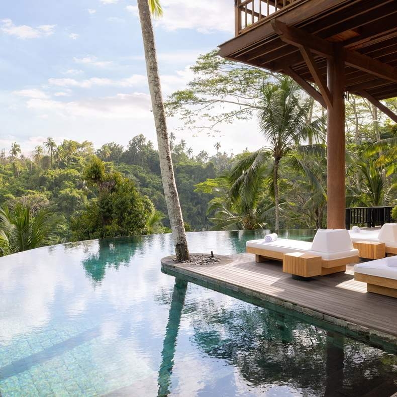 An infinity swimming pool next to a wooden deck with lounge chairs, overlooking a dense tropical forest valley.