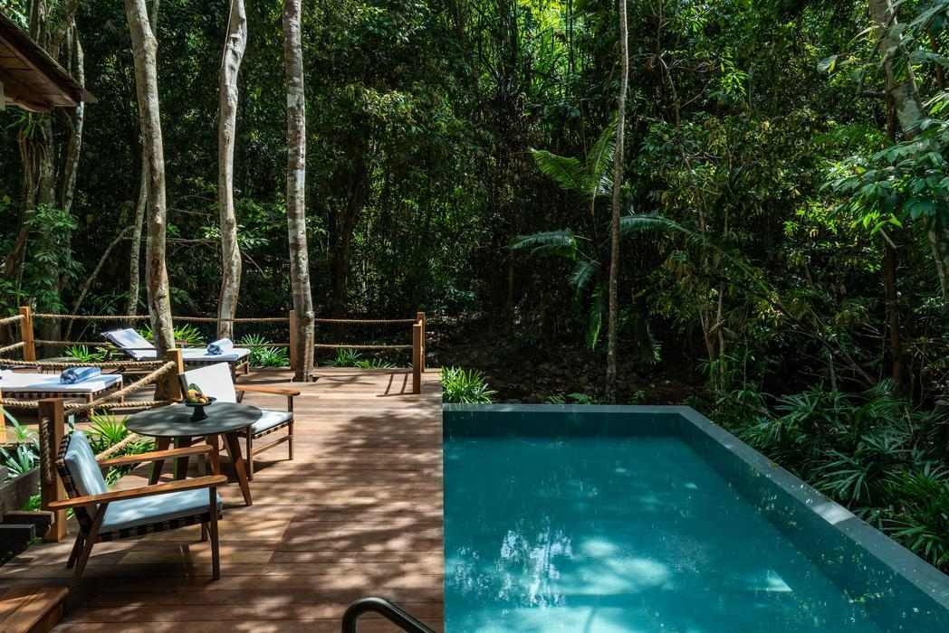 A private swimming pool on a wooden deck surrounded by a dense tropical forest.
