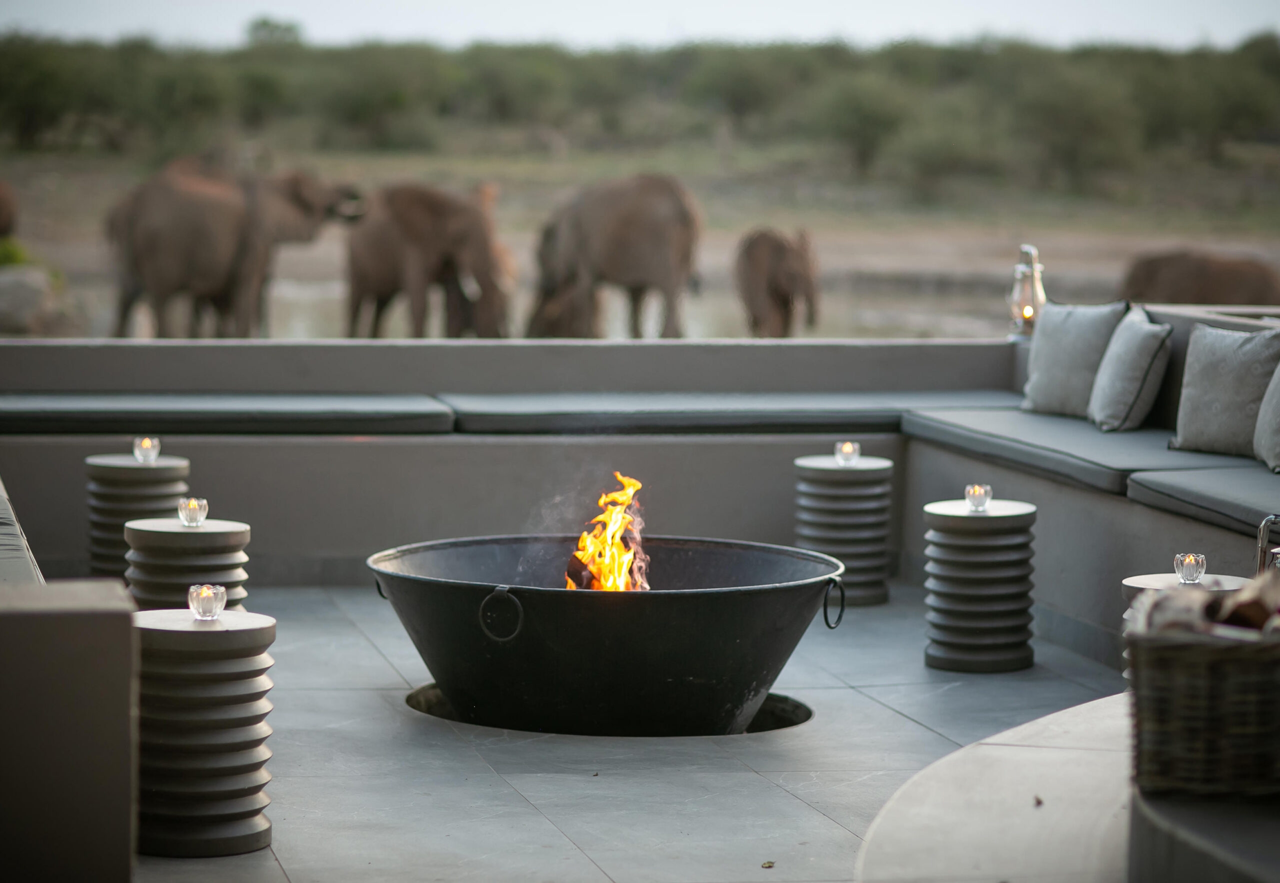 Outdoor lounge area with a fire pit overlooking elephants in the distance.