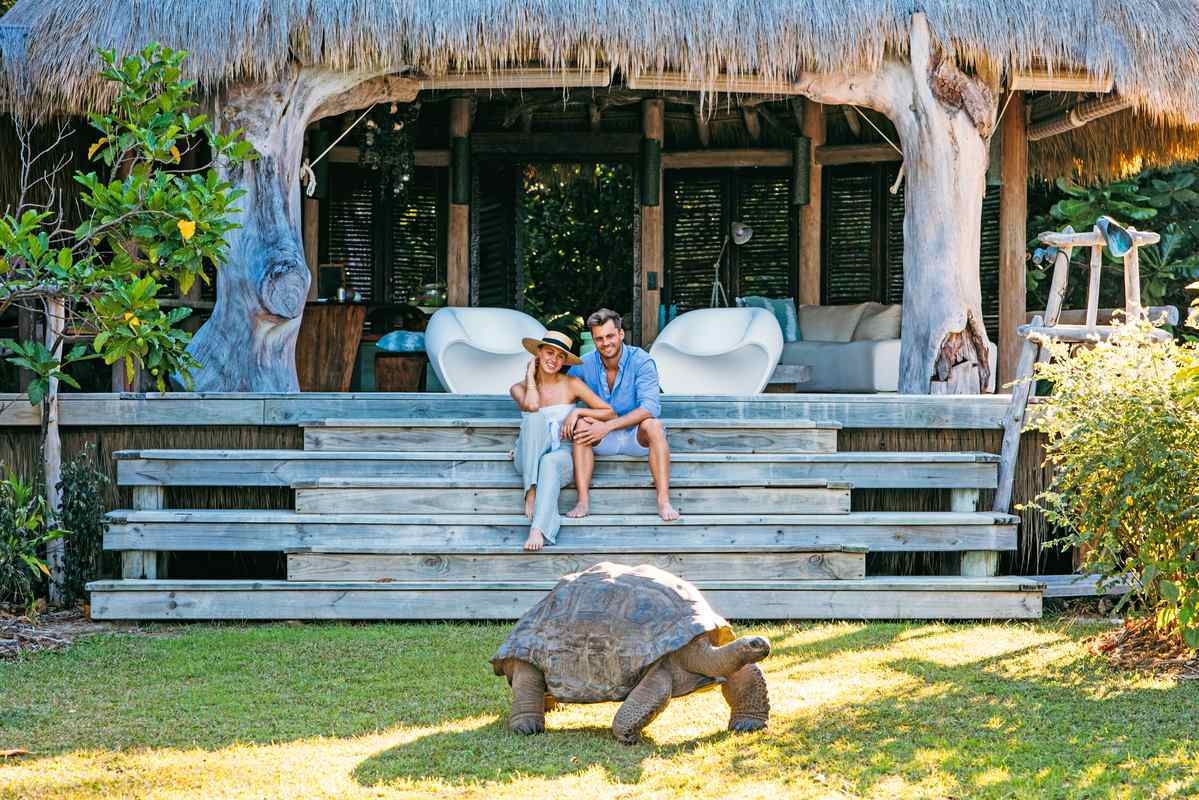 A giant tortoise in the foreground with a couple sitting on the wooden steps of a thatched villa.