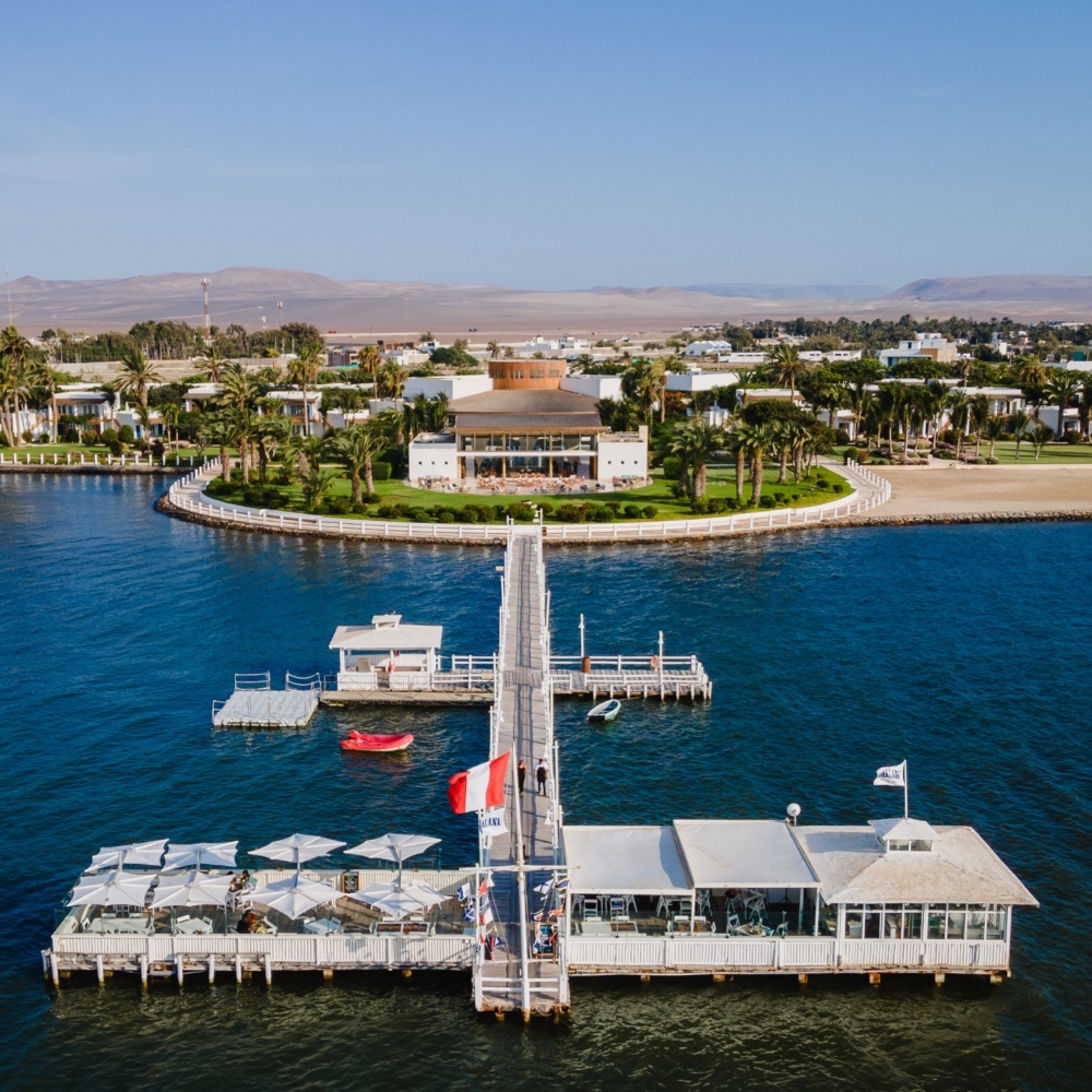 Aerial view of a coastal resort with pier and palm trees.
