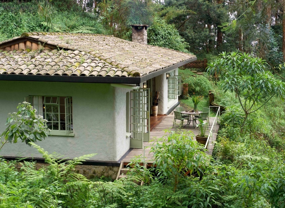 A cottage with a wooden deck and patio furniture surrounded by dense green forest foliage and ferns.