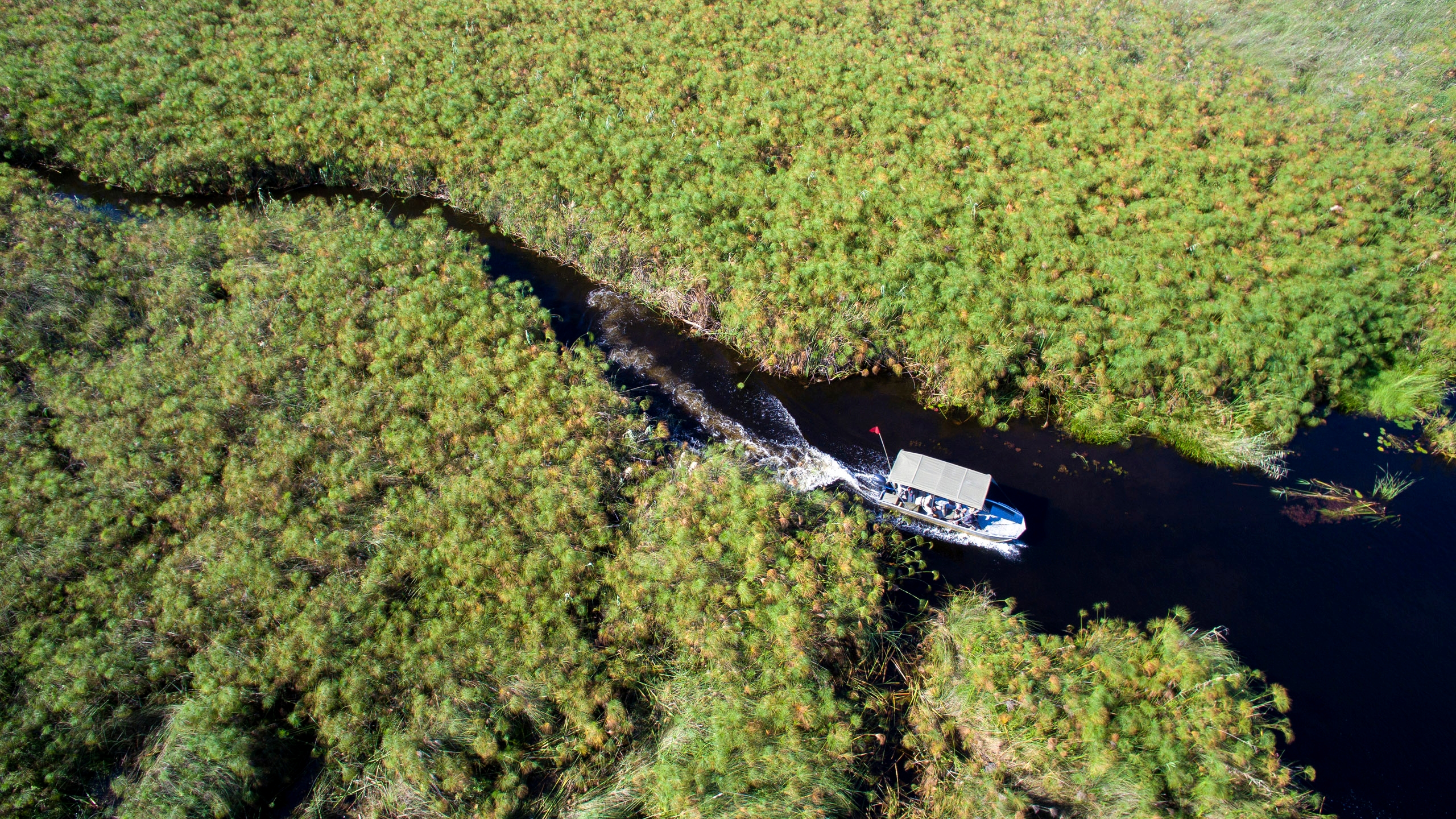 nxabega-lodge-boat-cruise