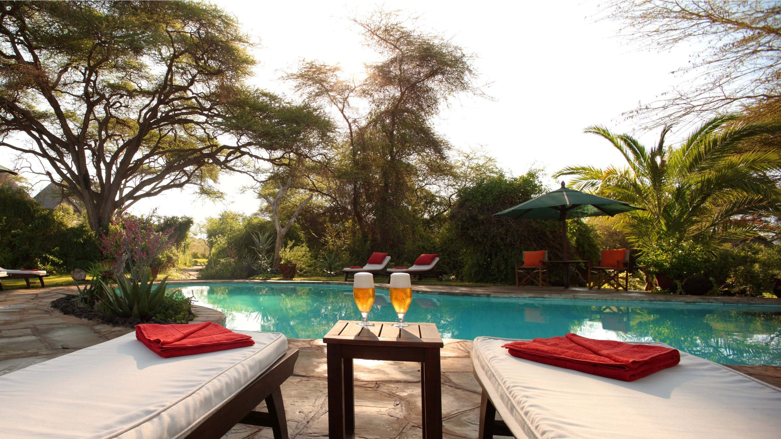 tortilis-camp-swimming-pool