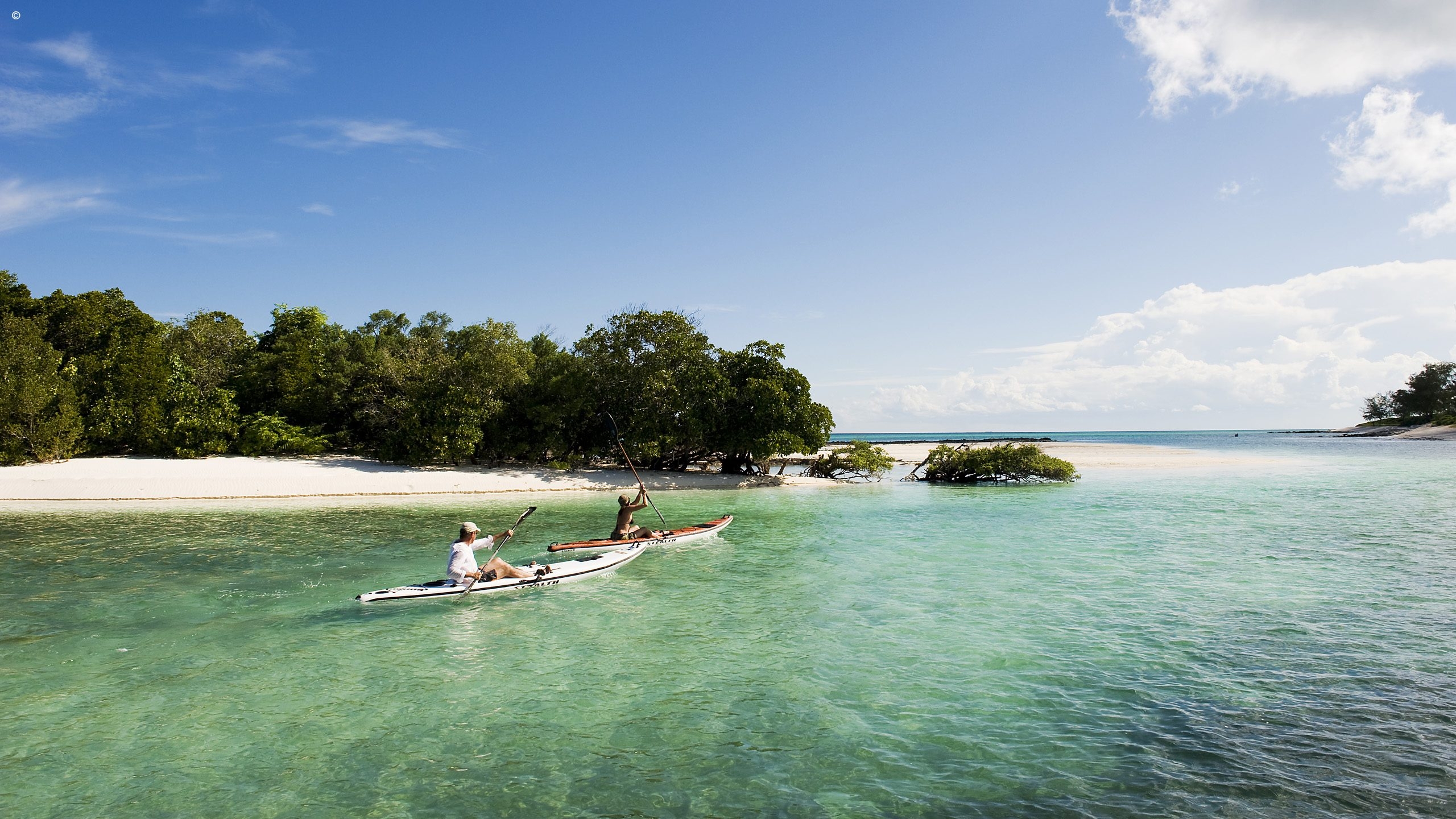 Two kayakers paddle through clear turquoise water near a sandy shore, surrounded by lush greenery and a bright blue sky.