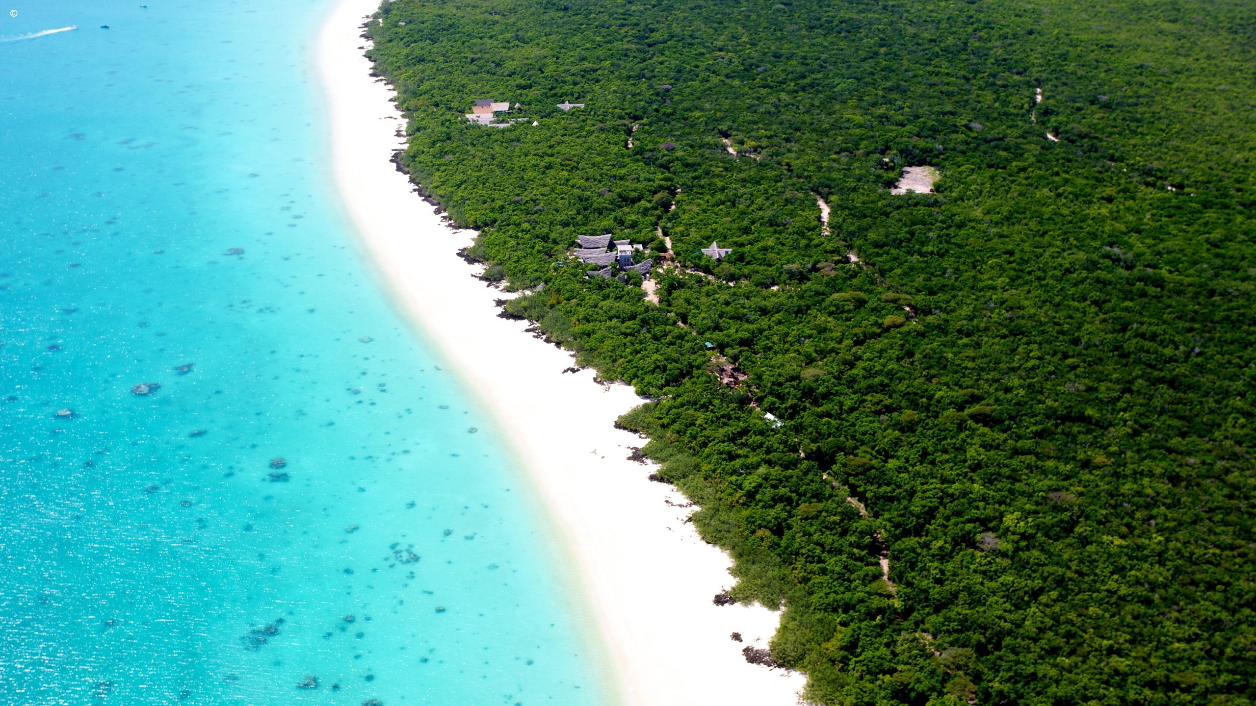 Aerial view of a lush green coastline with a sandy beach and turquoise waters, showcasing a few structures nestled in the greenery.