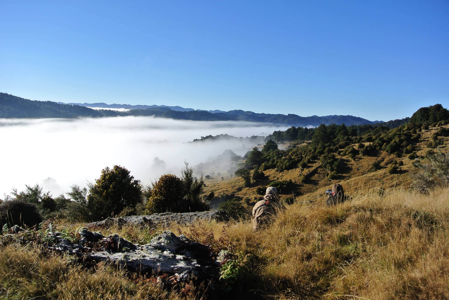 Poronui Taharua Valley New Zealand Trekking
