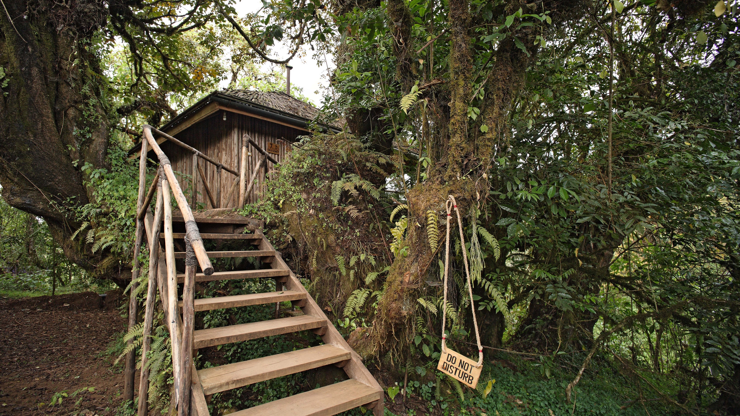 Bale Mountain chalet