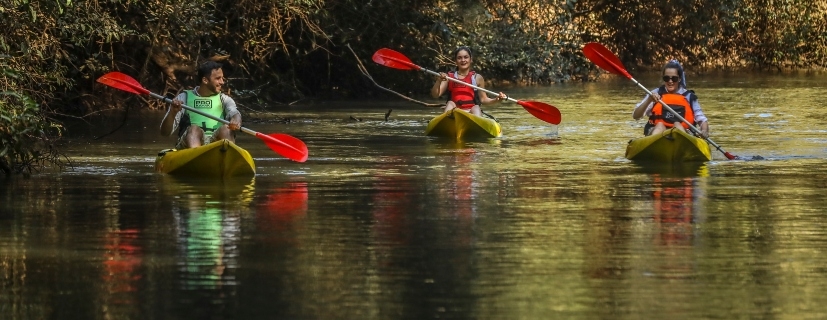 Three people on kayaks along a river.