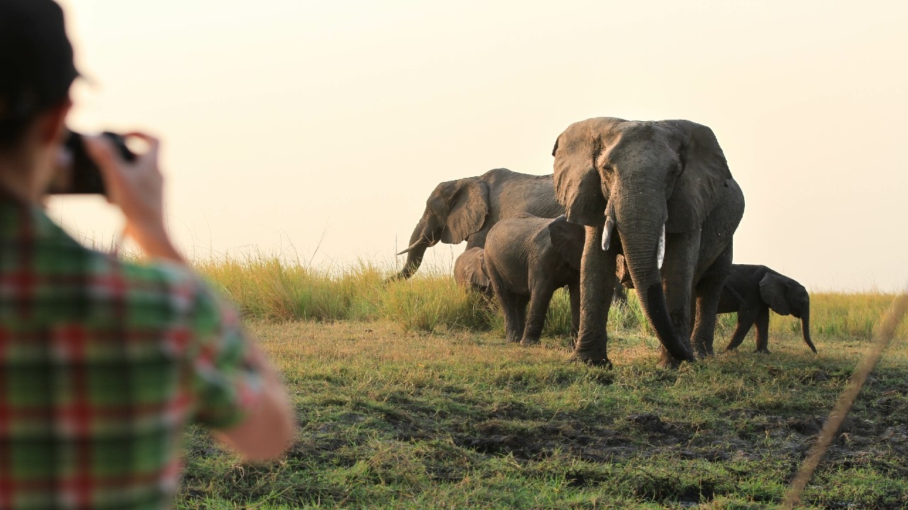 When is the Best Time to Visit Botswana?
