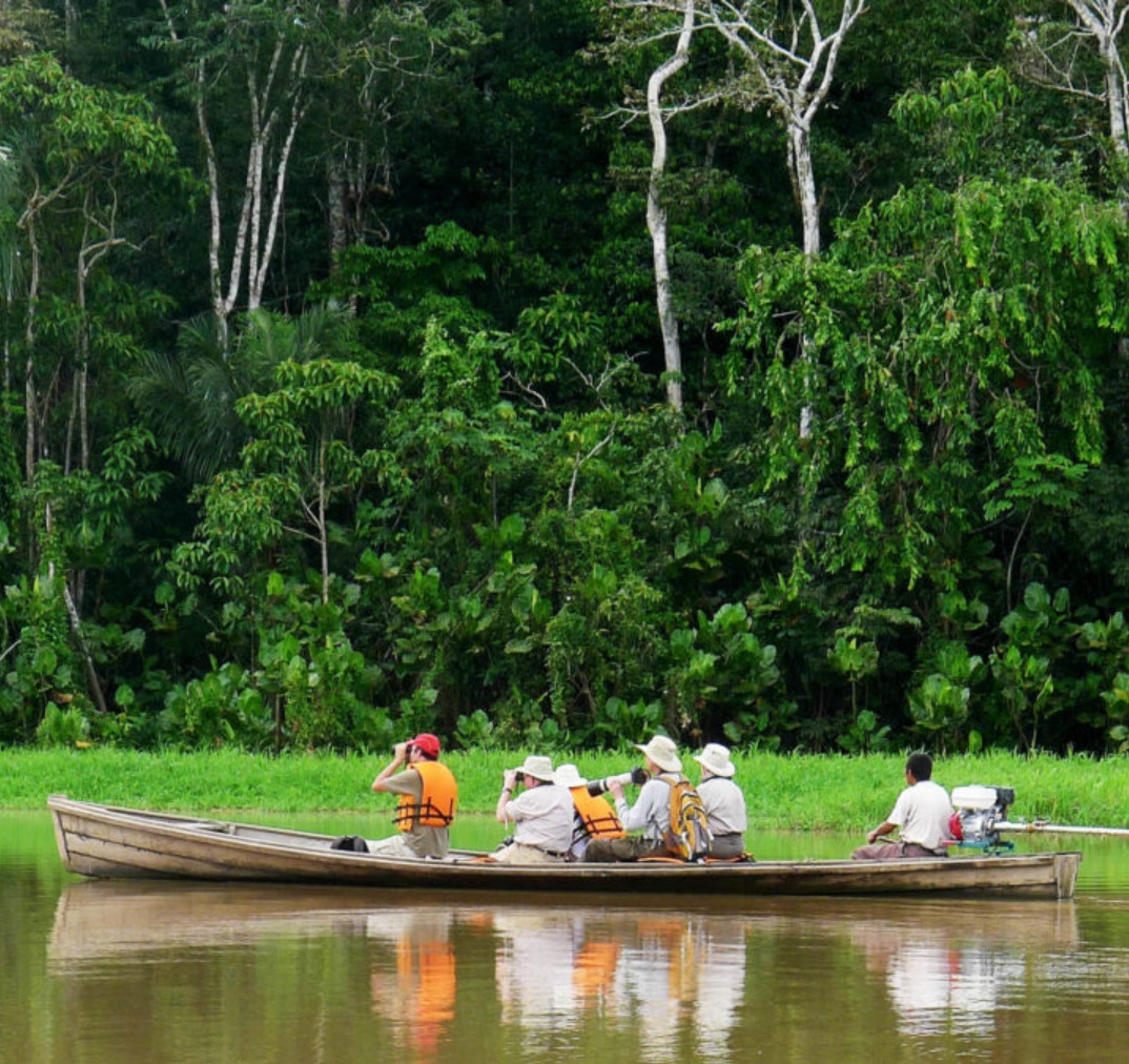 People in a long canoe being steered through calm water in a rainforest