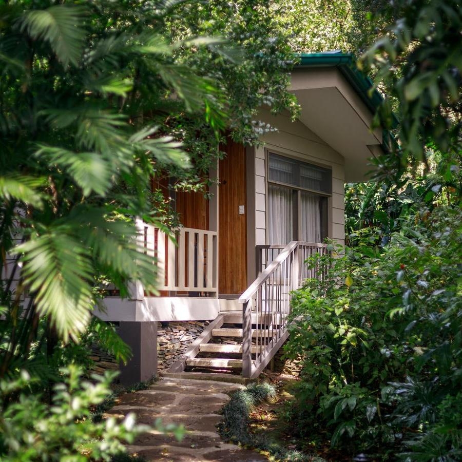 The exterior of a room at Senda Monteverde Hotel surrounded by lush greenery.