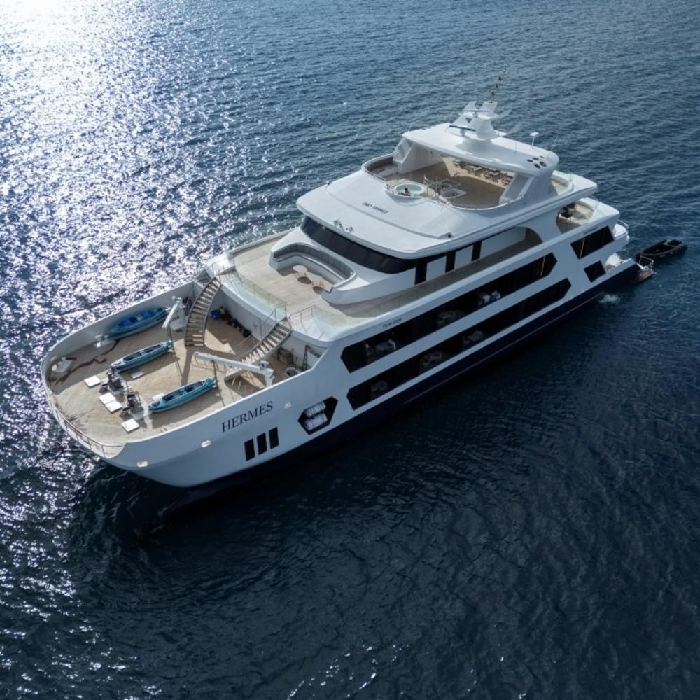 High angle aerial view of a white multi-level catamaran sailing across deep blue ocean water.