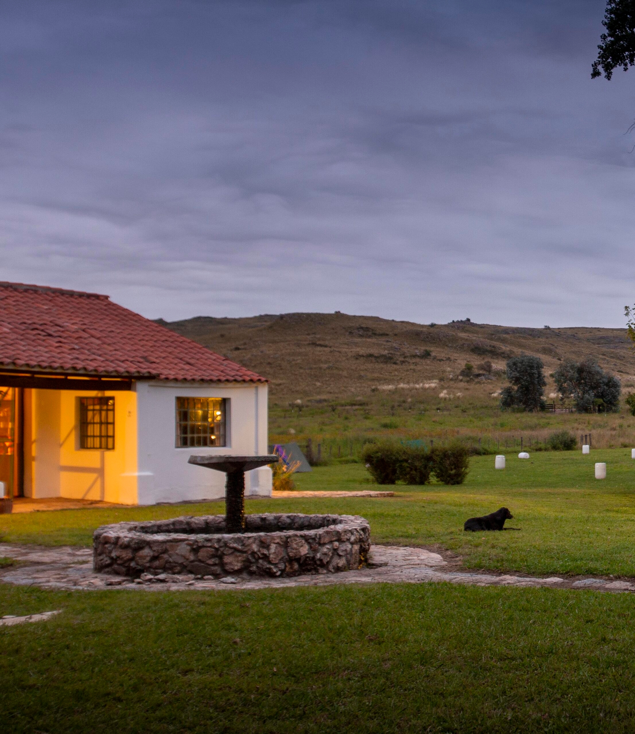 Rural house at dusk with a stone well and black dog on the grass.