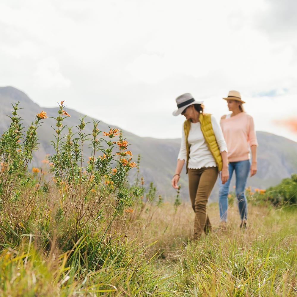 Two people walking through fynbos.