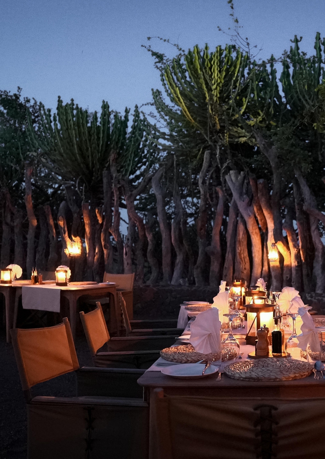 Outdoor deck in the evening, with several tables set for dinners with lanterns and candles illuminating the tables and the succulent trees beyond the deck fence.
