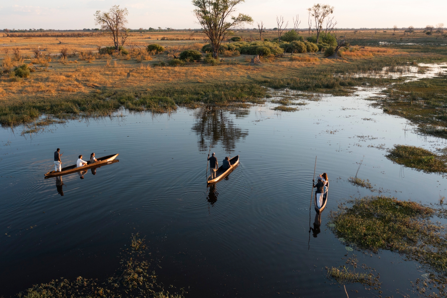 Three mokoro canoes seen from above floating through a wetland area with some greenery and dry land and trees in the background.