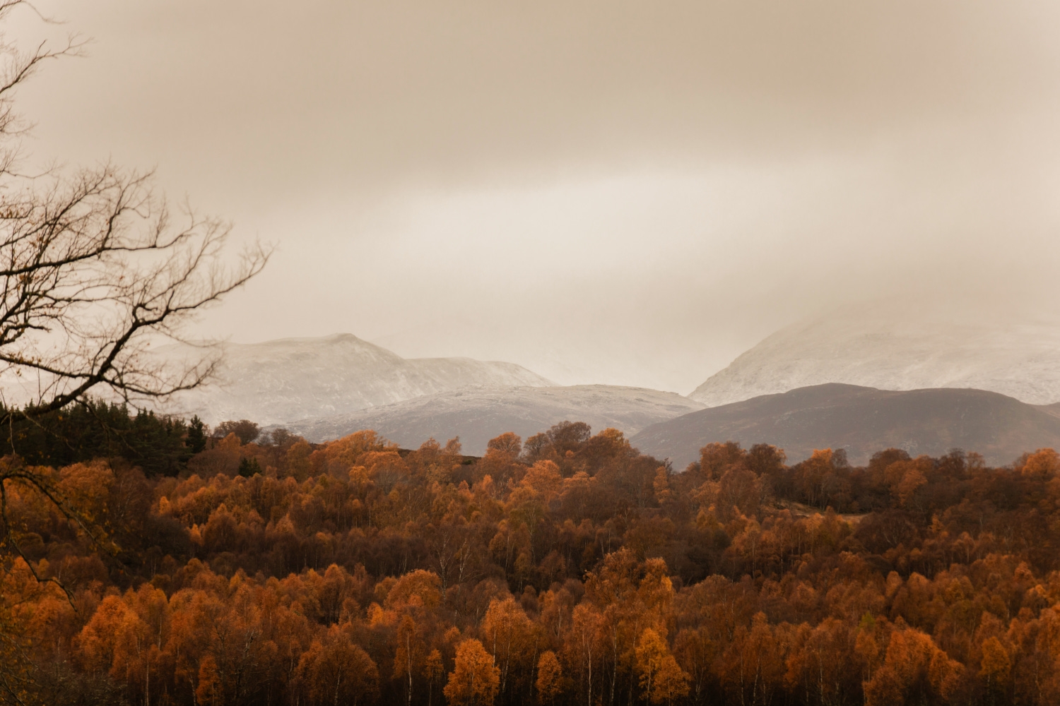 Exterior shot of woodland in autumn brown colour in the foreground and mountains dusted in snow and covered in fine clouds beyond.