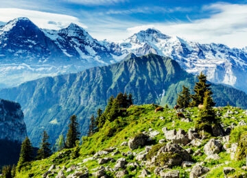 Switzerland thumbnail