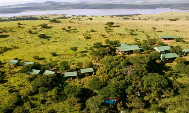 Three Trees at Spioenkop