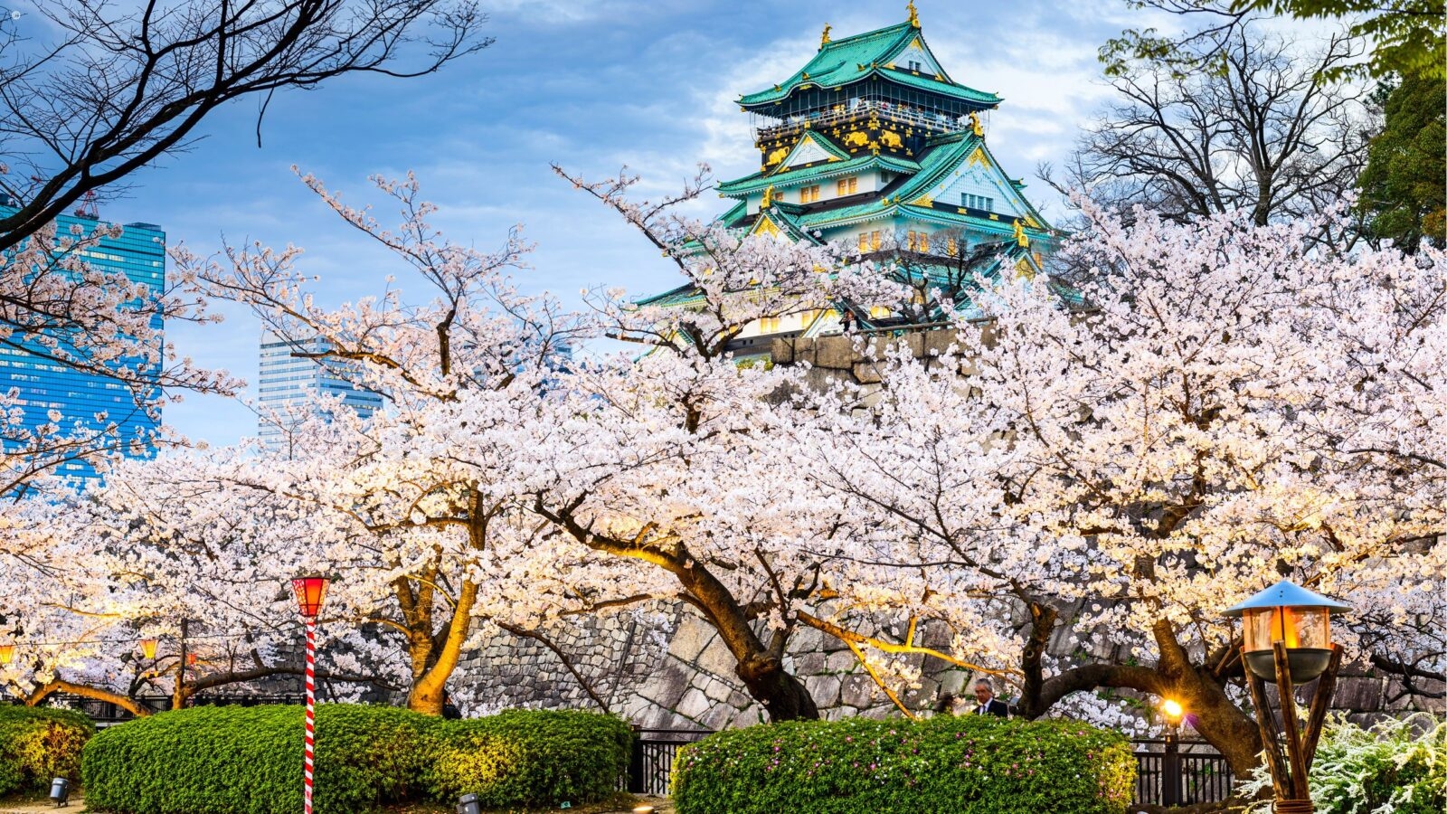 Japanese castle with cherry blossoms