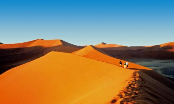 A Complete Namibian Safari