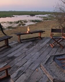 The best of Zambia and Botswana's wildlife