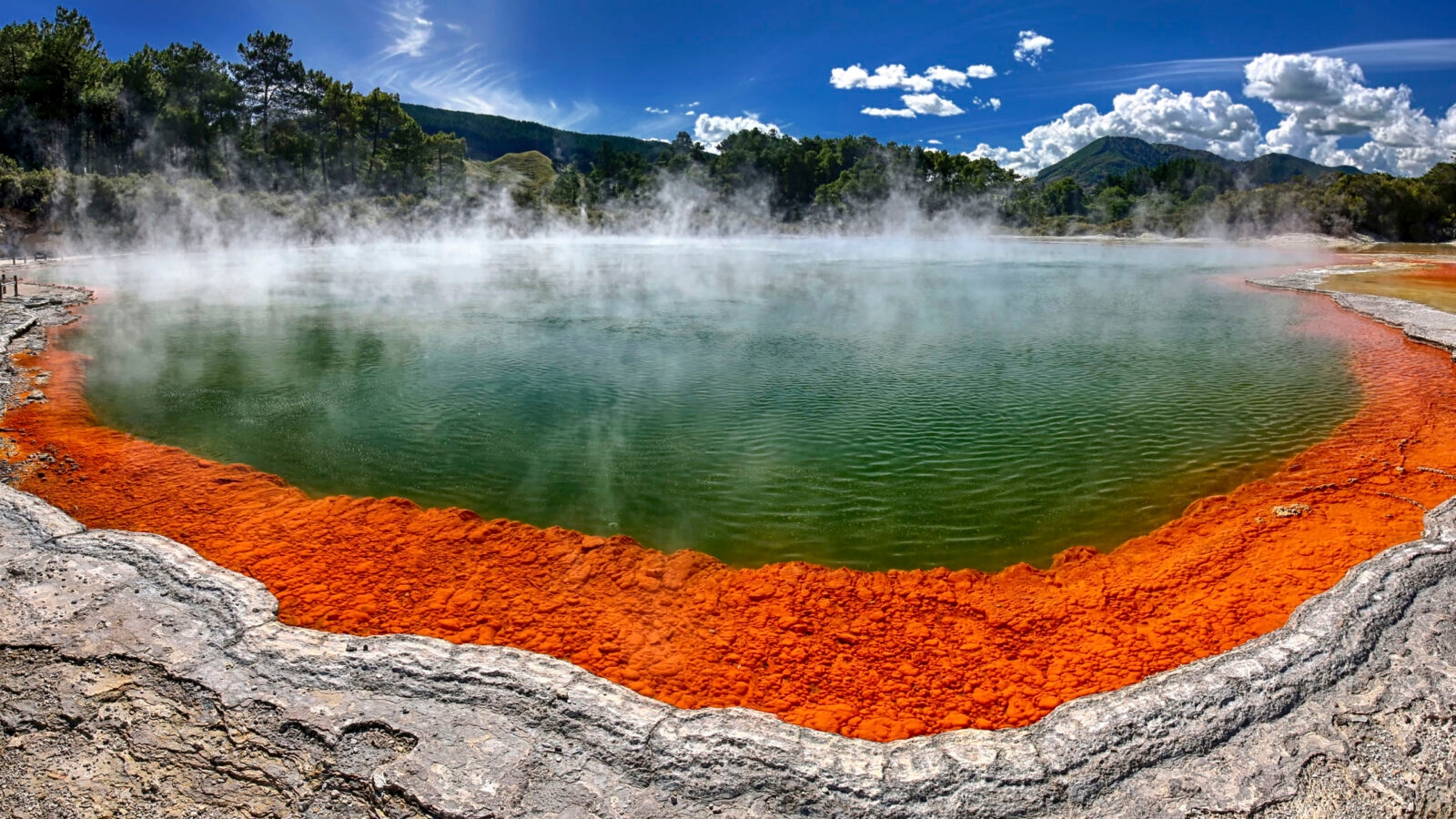 thermal-park-rotorua