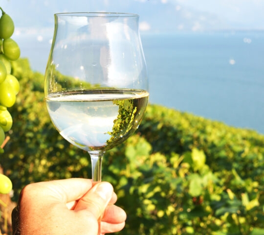 montreux-wine-glass