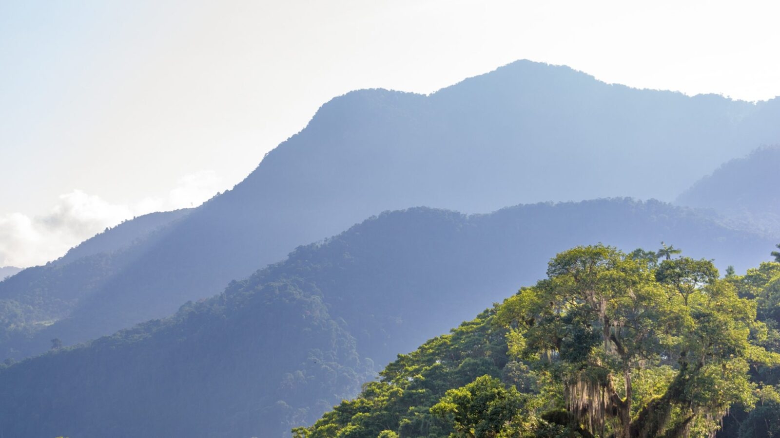 sierra-nevada-de-santa-marta-misty-mountains