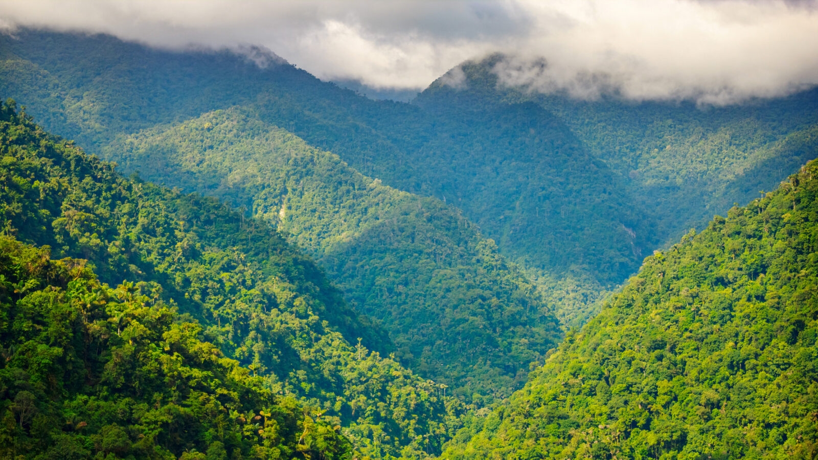 sierra-nevada-de-santa-marta-mountain-scenery