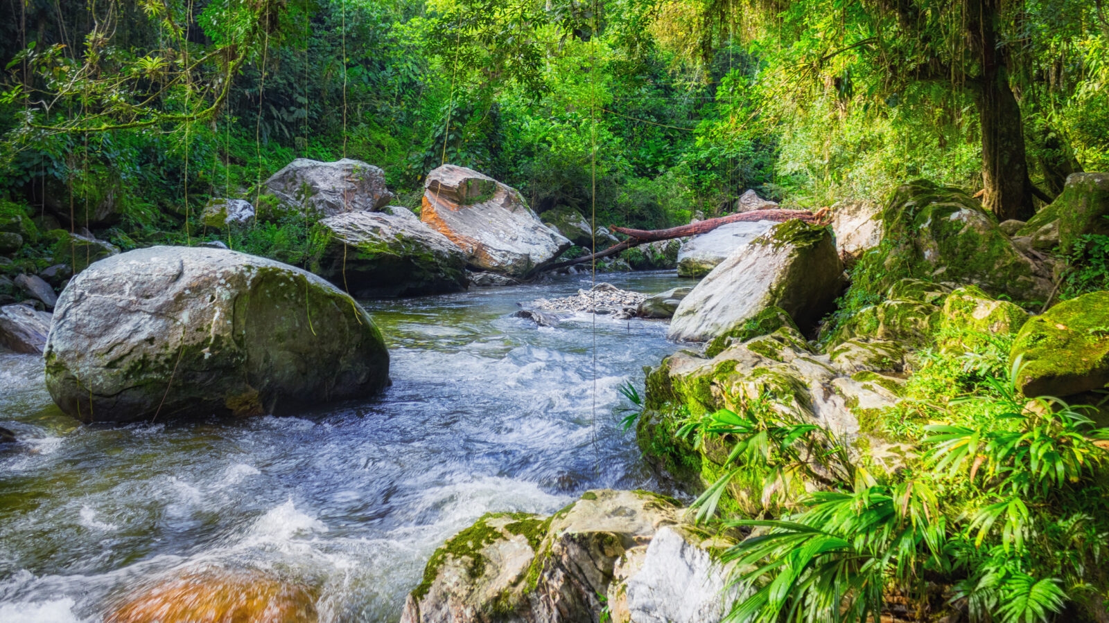 sierra-nevada-de-santa-marta-river